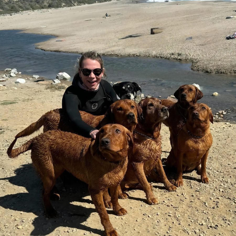 Dr. Hayley McDonald on a California beach with a pack of dogs